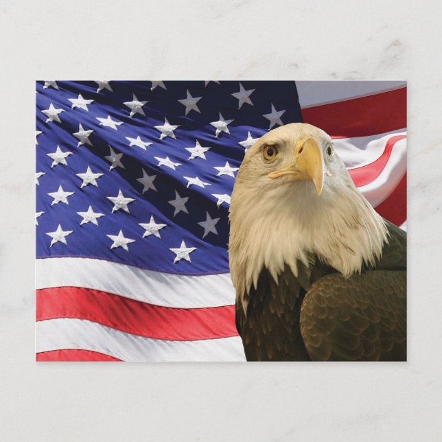 Amerikansk Vit Huvudörn och Flagga Vykort (Framsida)