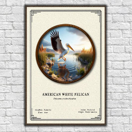 Amerikansk Vit Pelikan Zoologi Serie Poster