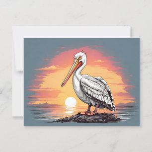 Amerikansk vit pelikus sunset vykort