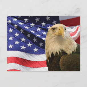 Amerikansk vitfläckig örn och flagga vykort