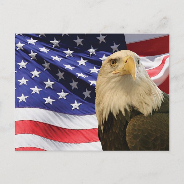 Amerikansk vitfläckig örn och flagga vykort (Framsida)