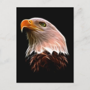Amerikansk Vithuvad Örn Huvud Vykort