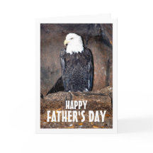 Amerikansk Vitörnad Havsörn i Bo