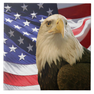 Amerikansk Vitörnad Örn USA Flagga Patriotisk Deko Kakelplatta