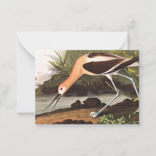 Amerikanska Avocet av John James Audubon Anteckningskort