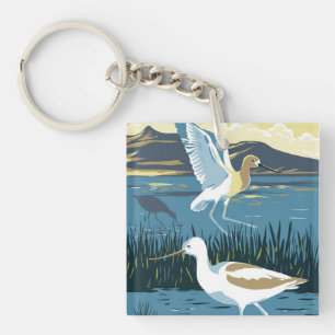 Amerikanska Avocet i Underbara Salt Sjö i Utah WPA