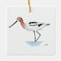 Amerikanska Avocet