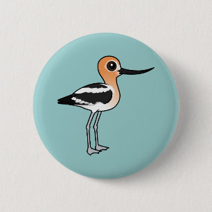 Amerikanska Avocet Knapp
