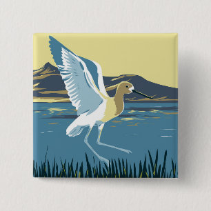 Amerikanska Avocet Knapp