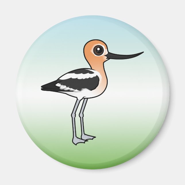 Amerikanska Avocet Magnet (Framsidan)