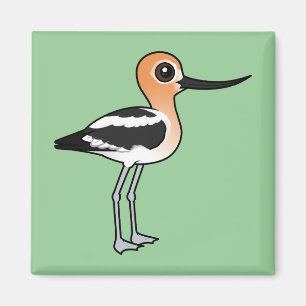 Amerikanska Avocet Magnet