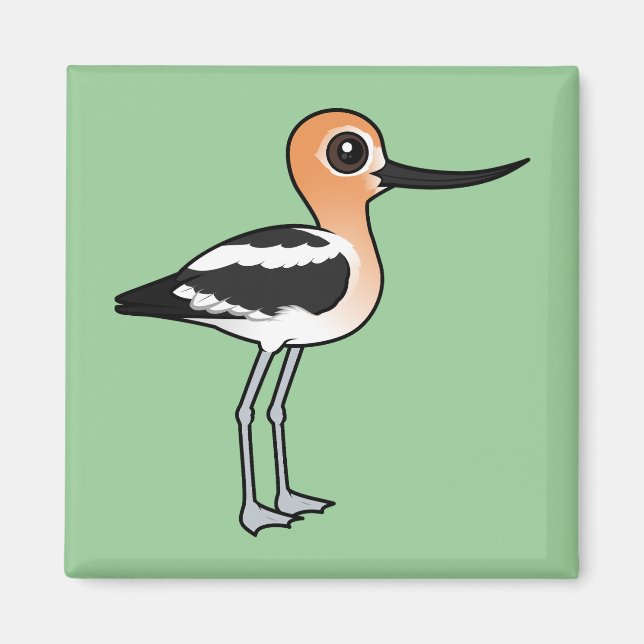 Amerikanska Avocet Magnet (Framsidan)