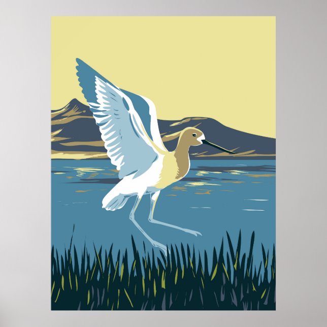 Amerikanska Avocet Poster (Framsidan)