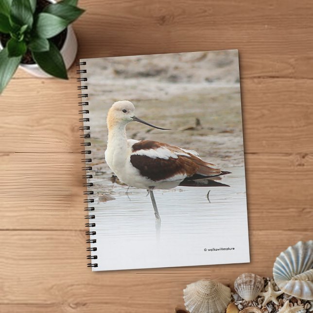 Amerikanska Avocet Wading Bird vid stranden Anteckningsbok (Stunning American Avocet at the Beach Journal Cover Photo)