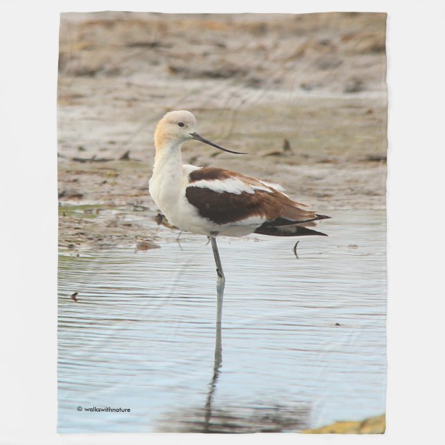 Amerikanska Avocet Wading Bird vid stranden Fleecefilt (Framsidan)