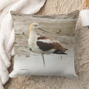 Amerikanska Avocet Wading Bird vid stranden Kudde