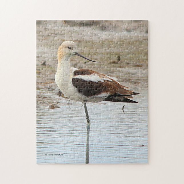 Amerikanska Avocet Wading Bird vid stranden Pussel (Vertikal)