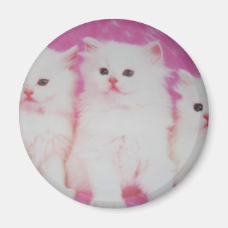 Amerikanska bästa modeller magnet