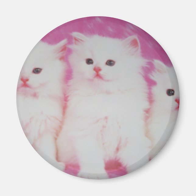 Amerikanska bästa modeller magnet (Framsidan)