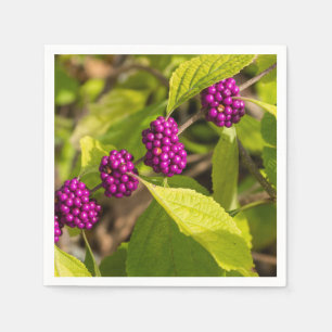 Amerikanska Beautyberry Pappersservett