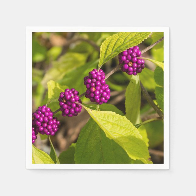 Amerikanska Beautyberry Pappersservett (Framsidan)