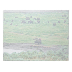 Amerikanska bison anteckningsblock