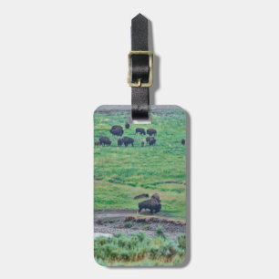 Amerikanska bison bagagebricka
