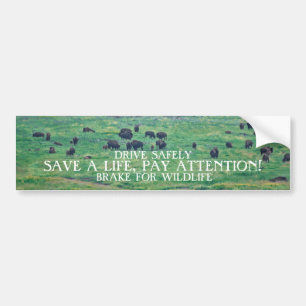 Amerikanska bison bildekal