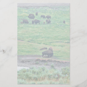 Amerikanska bison brevpapper