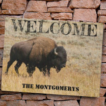 Amerikanska bison Graces in Meadow Grass Photo Anp