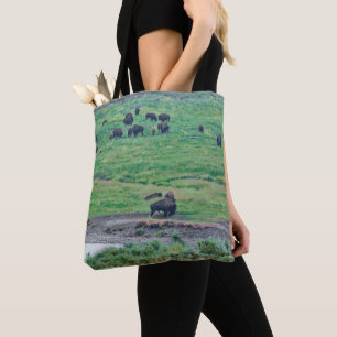 Amerikanska bison tygkasse