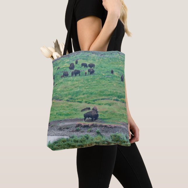 Amerikanska bison tygkasse (Närbild)