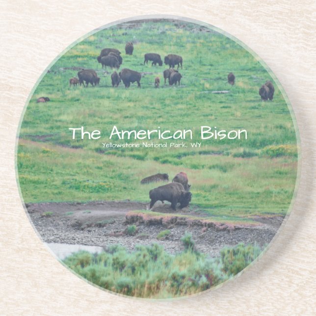 Amerikanska bison underlägg (Framsidan)