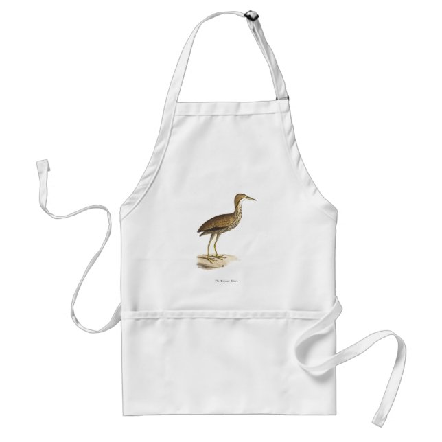 Amerikanska bittern (Botaurus lentiginosus) Bird Förkläde (Framsidan)