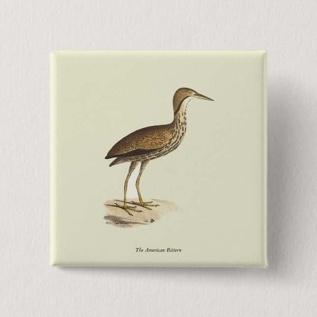 Amerikanska bittern (Botaurus lentiginosus) Bird Knapp (Framsida)