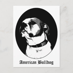 Amerikanska bulldockkort vykort