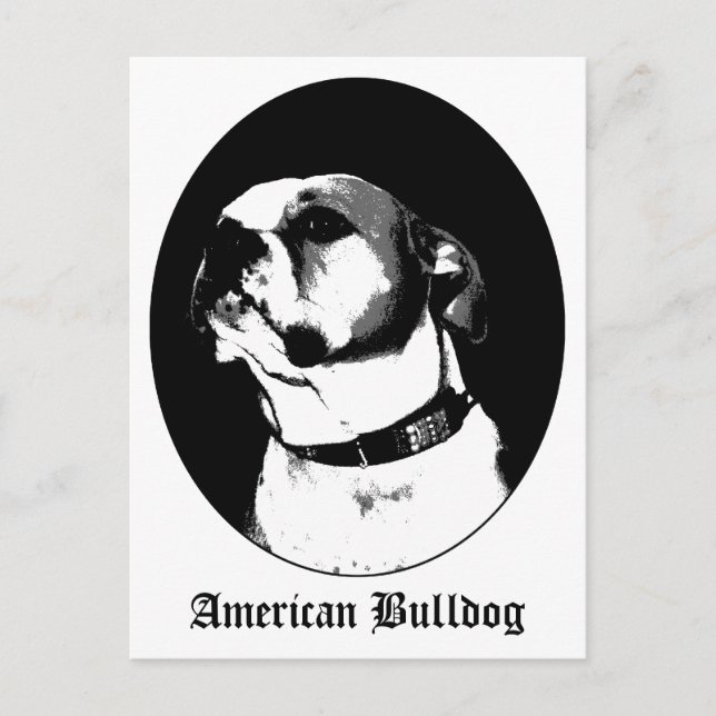 Amerikanska bulldockkort vykort (Framsida)