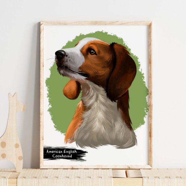 Amerikanska Coonhound Porträtt | Skriv ut Pet Port Poster (Skapare uppladdad)