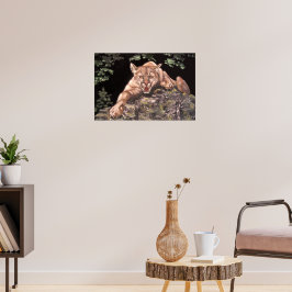 Amerikanska Cougar poster