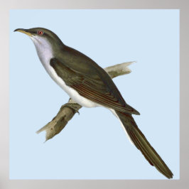 Amerikanska Cuckoo Bird Poster