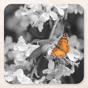 Amerikanska Dam Butterfly On Blommar Papper Underl Underlägg Papper Kvadrat