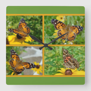 Amerikanska Dam Butterfly - Vanessa virginiensis Fyrkantig Klocka