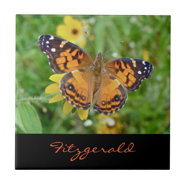 Amerikanska Dam Butterfly - Vanessa virginiensis Kakelplatta (Framsidan)