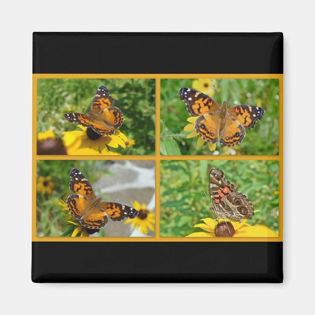 Amerikanska Dam Butterfly - Vanessa virginiensis Magnet (Framsidan)