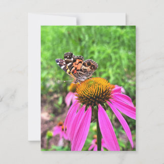 Amerikanska Dam Vykort