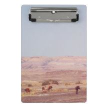 Amerikanska Desert Horses P8670