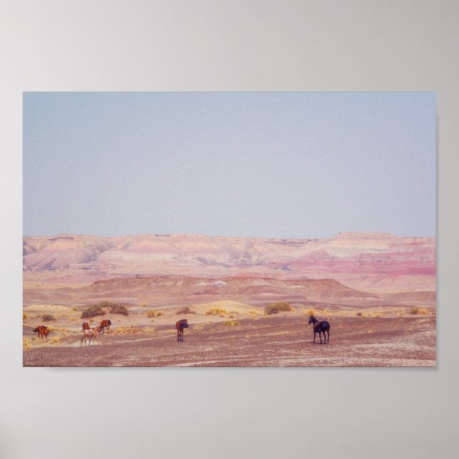 Amerikanska Desert Horses P8670 Poster (Framsidan)