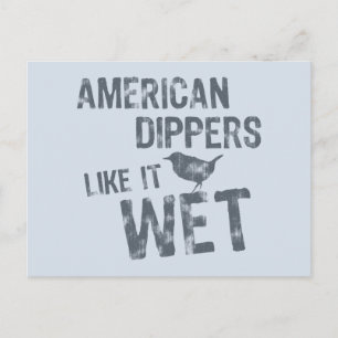 Amerikanska dippers gillar den Blöten Vykort