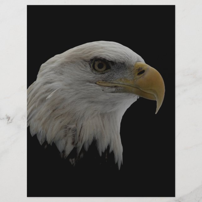 Amerikanska Eagle Leader Motivational (Framsida)