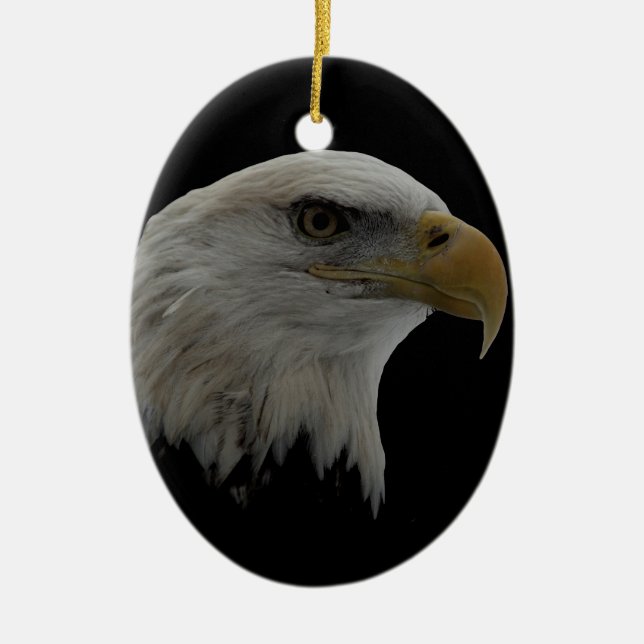 Amerikanska Eagle Leader Motivational Julgransprydnad Keramik (Framsidan)